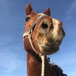 Meet your Posher, Emma